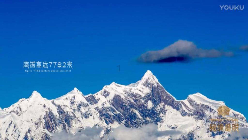 探索吉鹿力问答社区,解锁生物试剂盒是什么乐趣