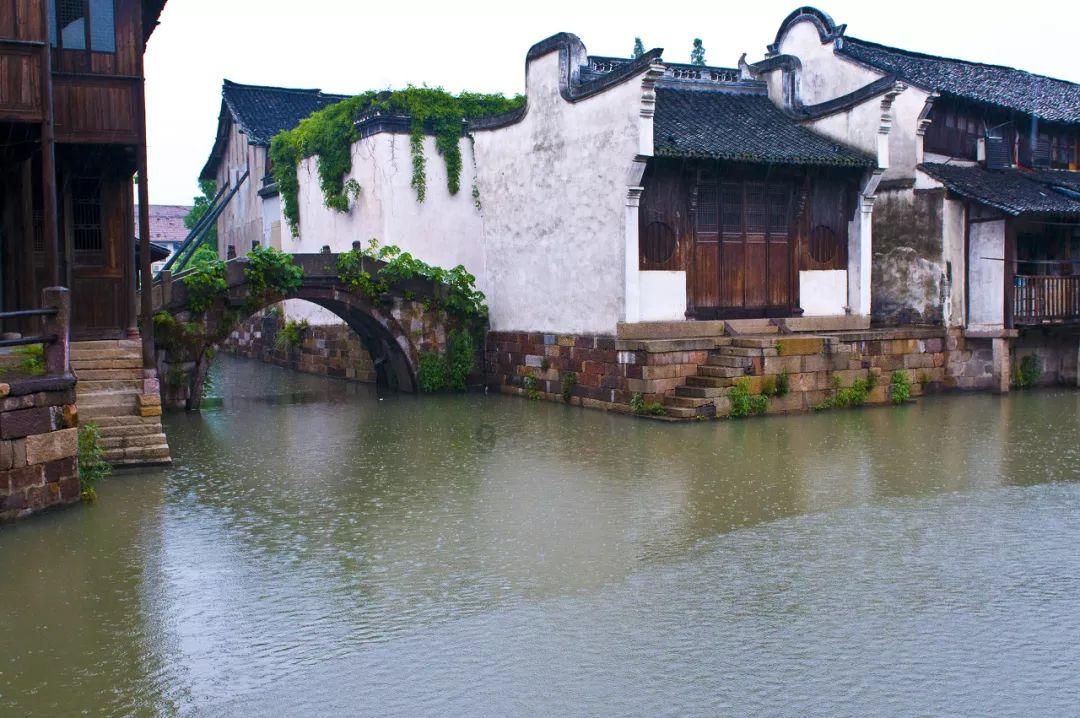 竞技宝one